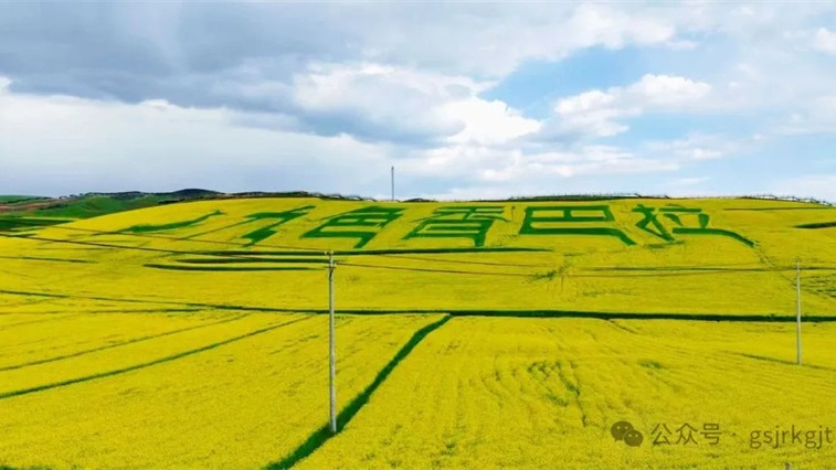 金控甘南担保助力合作市油菜花海项目  跑出乡村振兴“加速度”